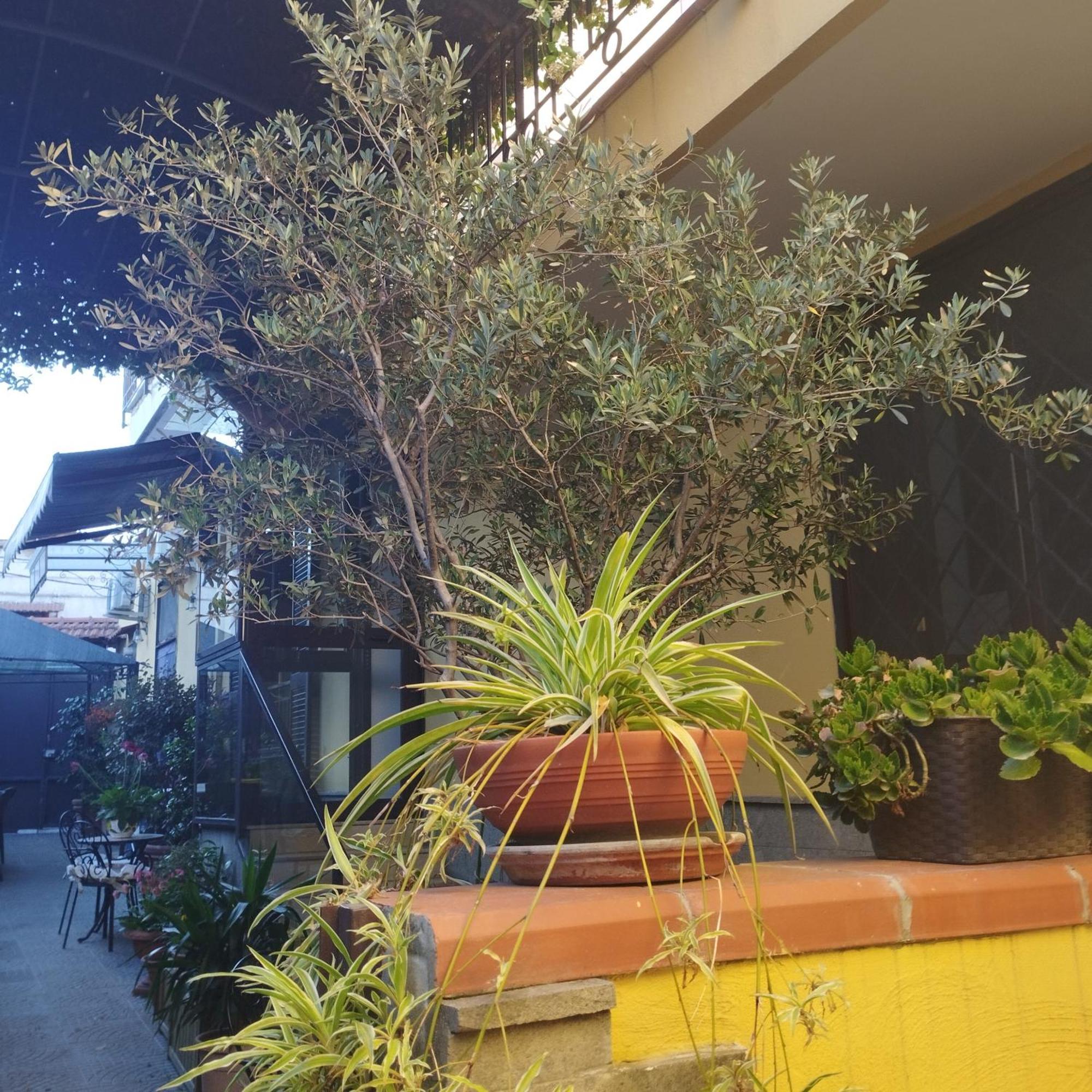 Maison d'hôtes To Fly Naples